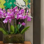 Volney Opéra Hotel Paris